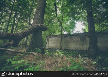 Old brick wall in a green forest with tall trees