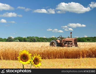 old broken tractor on a wheat field