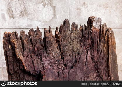 Old brown log with white wall background