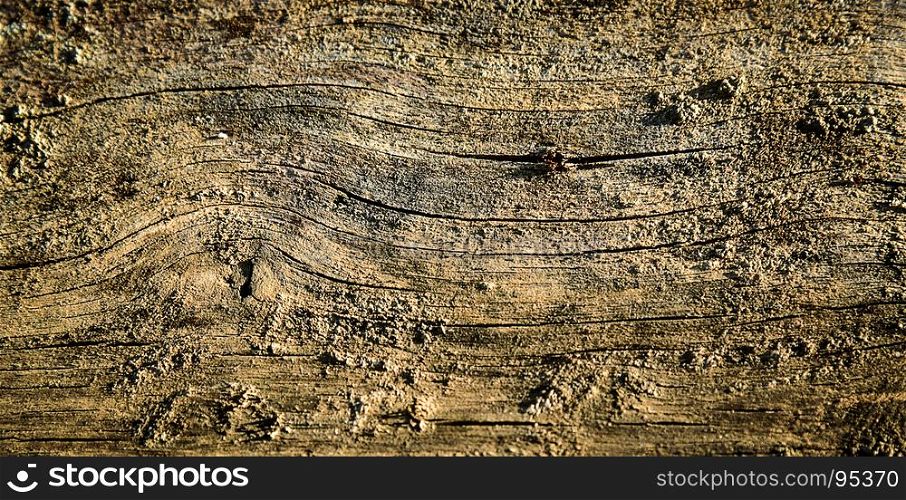 Old Brown wood texture. Abstract background, empty template
