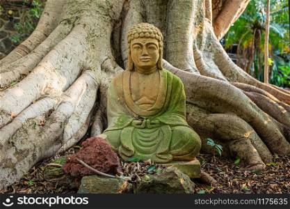 Old buddha statue meditation religious symbol at roots. Old buddha statue meditation religious symbol holy