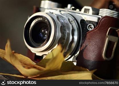 Old camera with autumn leaves