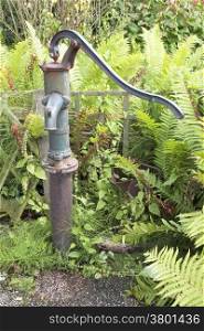 old cast iron water pump in garden between ferns