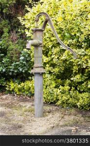 old cast iron water pump in garden next to hedge