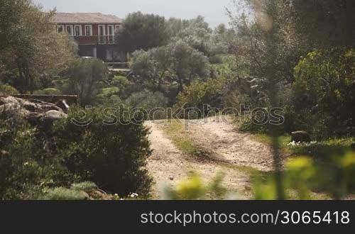 Old caucasian man riding horse at full speed on dust track. Slow motion, Dolly shot