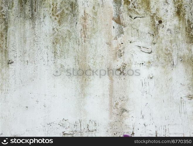 old cement wall