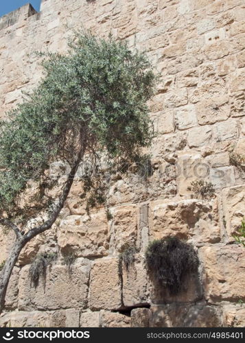 Old City exterior wall, Old City Jerusalem Israel