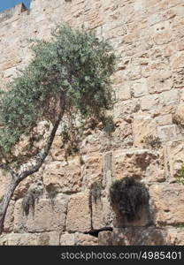 Old City exterior wall, Old City Jerusalem Israel