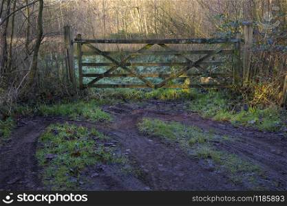 Old closed fence to the meadow in winter time
