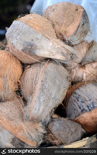 Old coconuts on the market close up