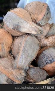 Old coconuts on the market close up