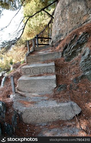 old concrete staircase strewn with pine needles