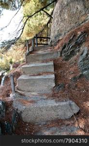 old concrete staircase strewn with pine needles