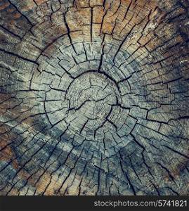 Old crack wood texture background