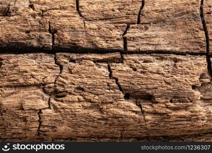 old cracked dark wooden background close-up