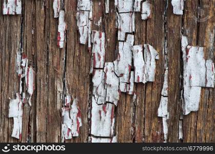 Old cracked paint on old boards. Wooden wall