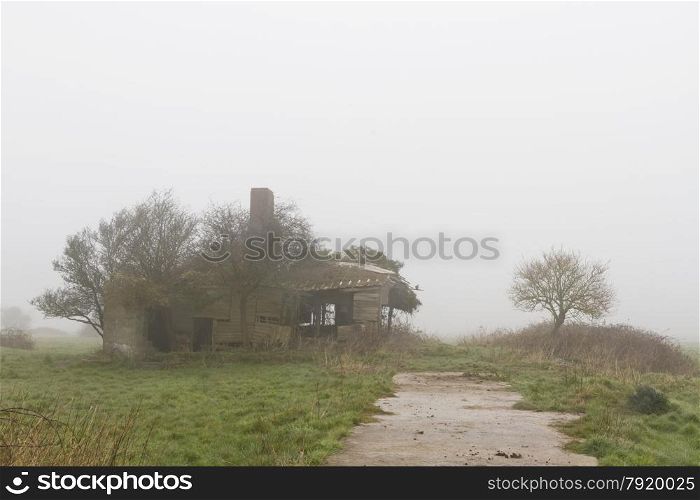 Old derelict building being overgrown by trees and bushes, misty, United Kingdom.
