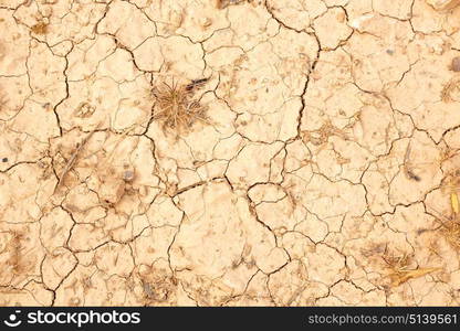 old desert and the abstract cracked sand texture in oman rub al khali