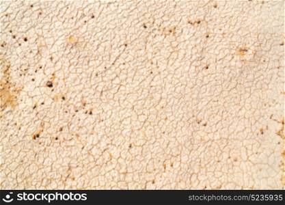 old desert and the abstract cracked sand texture in oman rub al khali blurred