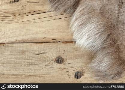 Old dilapidated boards and reindeer fur