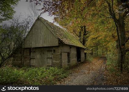 old dilapidated wooden barn with a tiled roof farm shed along a path in the woods with beautiful autumn colors of orange red and green. old farm in a autumn forest in holland