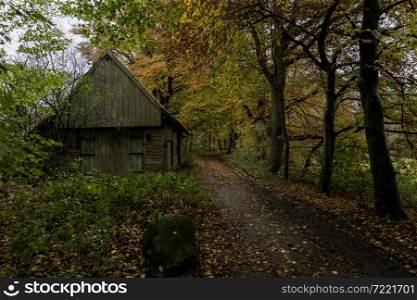 old dilapidated wooden barn with a tiled roof farm shed along a path in the woods with beautiful autumn colors of orange red and green