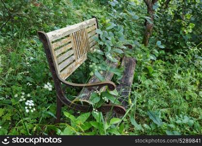 Old dilapidated wooden bench in forest thickets