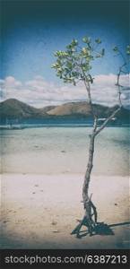 old dirty in the philippines island beautiful cosatline tree hill and boat for tourist