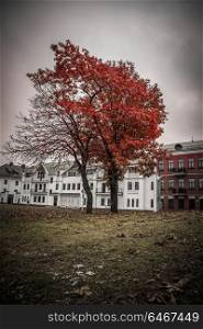 old district Nyamiha Autumn. Minsk city. Belarus.