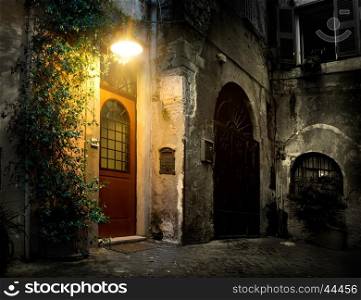 Old district Trastevere in Rome in the night, Italy