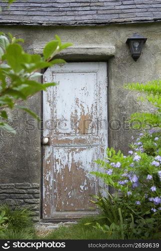 Old door