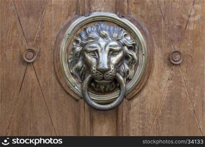 Old door handle in the form of a metal lion background