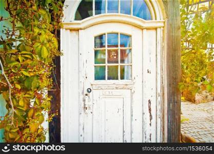 Old doors in the old house surrounded by leaves.