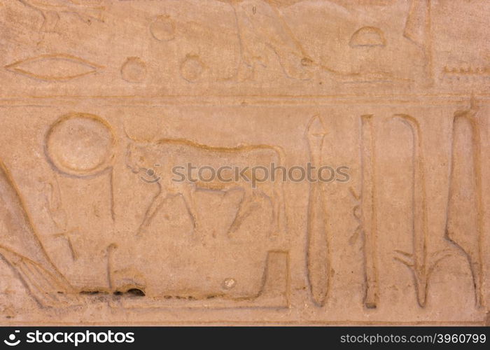 old egypt hieroglyphs