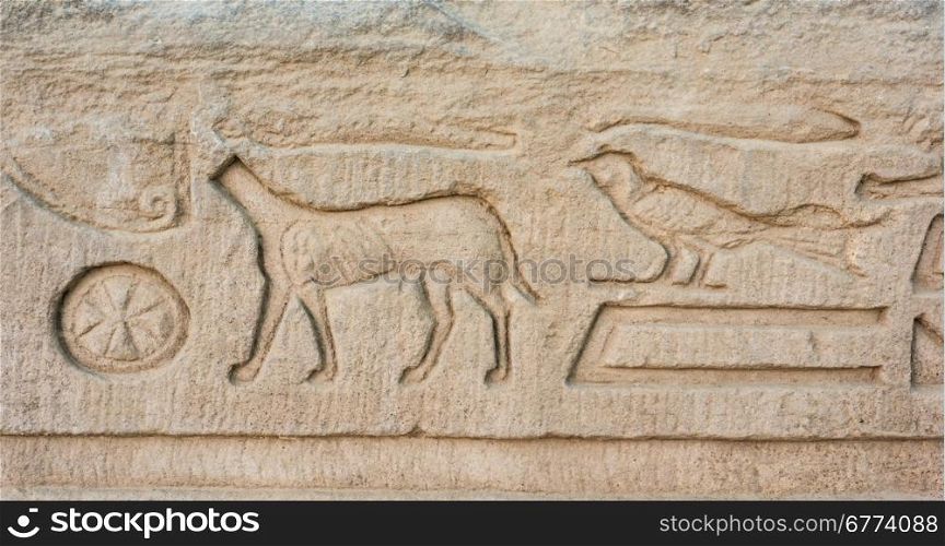 old egypt hieroglyphs carved on the stone. Detail from temple wall in Egypt.