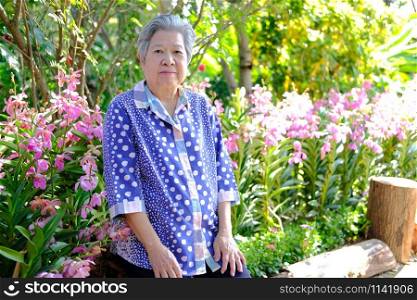 old elder woman resting in garden. asian elderly female relaxing outdoors. senior leisure lifestyle