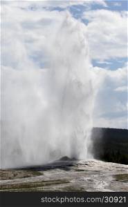 Old Faithful geyser erupting on regular schedule