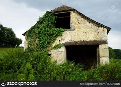Old farm house with vine and green grass on the field in France
