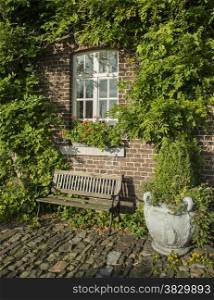 old farm with green plants on the wall and seat on the old rocks in the garden