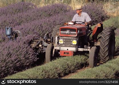 Old Farmer on Tractor
