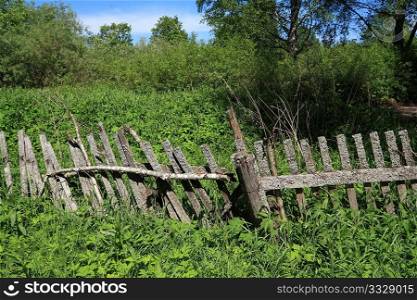 old fence in green herb