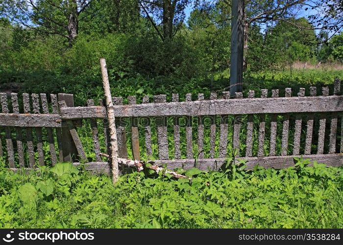 old fence in green herb