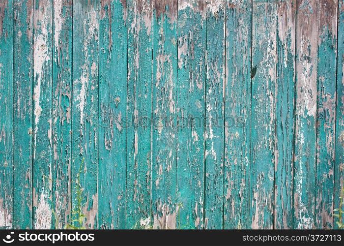 Old fence with the texture of cracked paint emerald