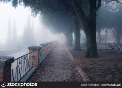 Old foggy city park alley