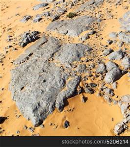old fossil in tha desert of morocco sahara and rock stone sky