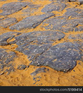 old fossil in the desert of morocco sahara and rock stone sky