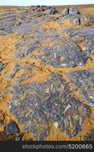 old fossil in the desert of morocco sahara and rock stone sky