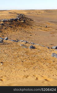 old fossil in the desert of morocco sahara and rock stone sky