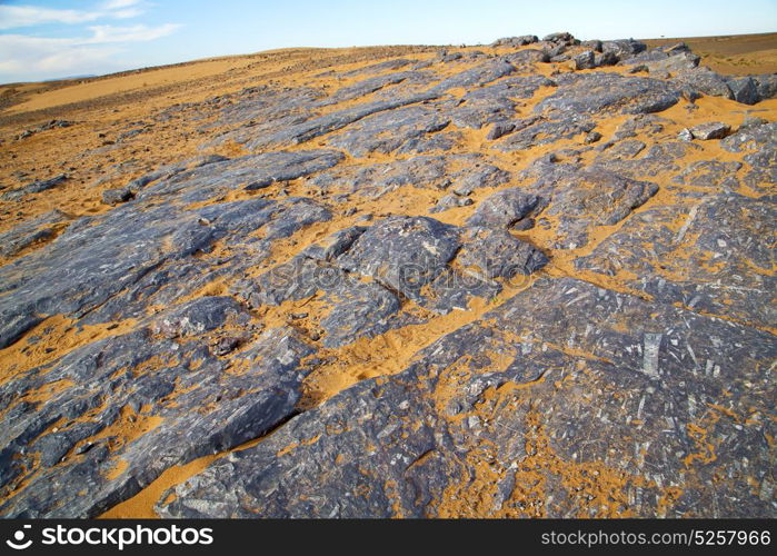 old fossil in the desert of morocco sahara and rock stone sky