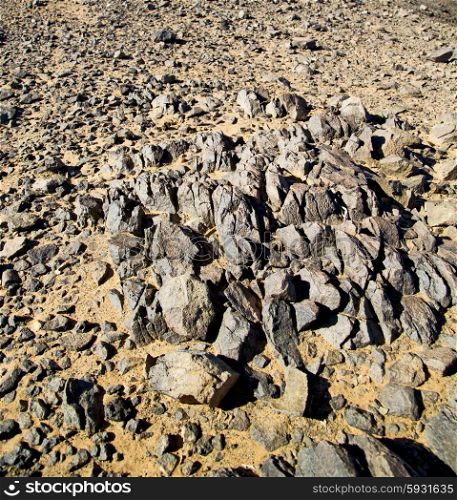 old fossil in the desert of morocco sahara and rock stone sky